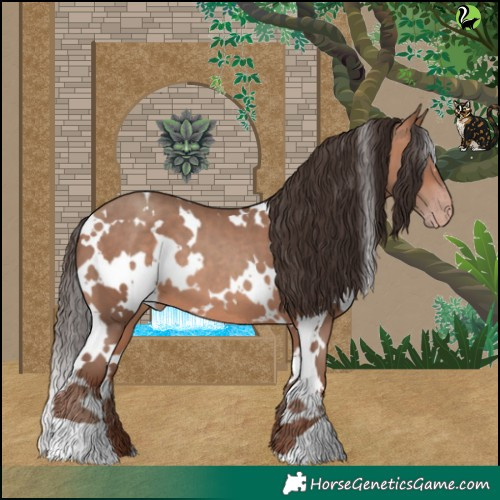 Horse Color:White Spotted Amber Champagne 