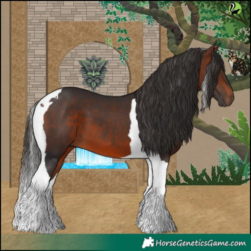 Horse Color:Brown Tobiano 