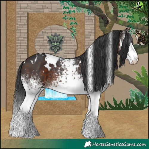 Horse Color:White Spotted Brown 