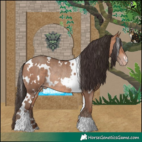 Horse Color:White Spotted Amber Champagne Rabicano 