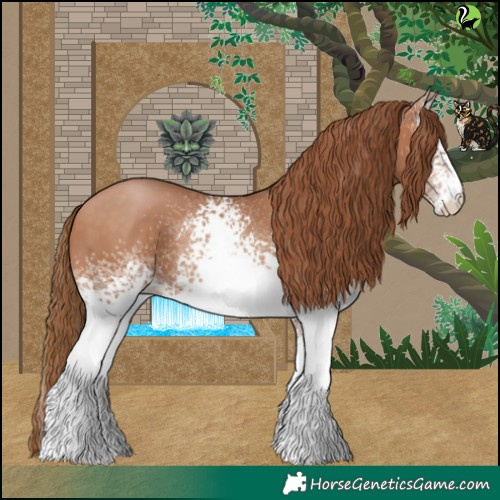 Horse Color:White Spotted Bay Pearl 