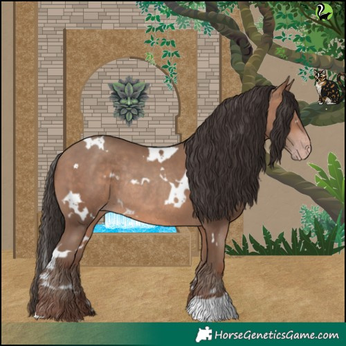 Horse Color:White Spotted Sable Champagne Rabicano 