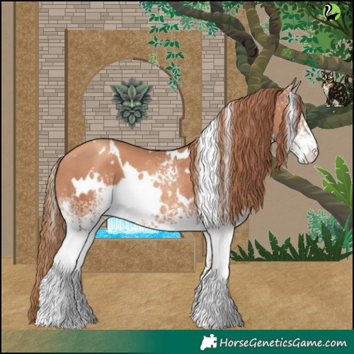 Horse Color:White Spotted Gold Champagne 