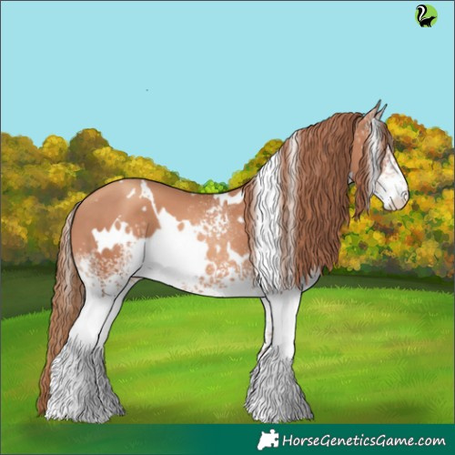 Horse Color:White Spotted Gold Champagne 