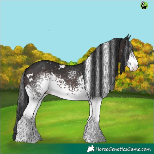 Horse Color:White Spotted Brown Rabicano 
