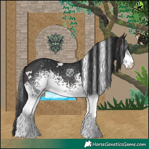 Horse Color:White Spotted Brown Rabicano 