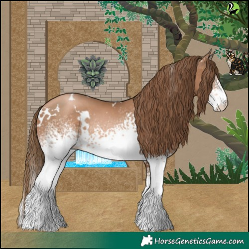 Horse Color:White Spotted Liver Chestnut Pearl Rabicano 