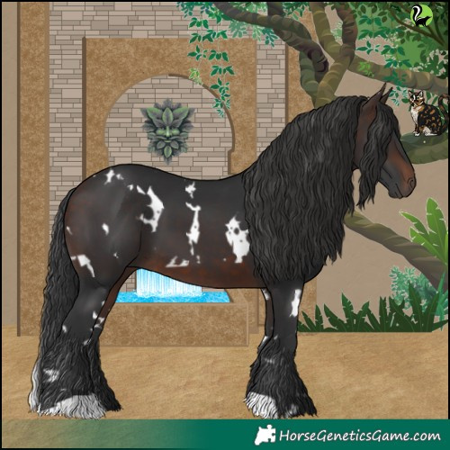 Horse Color:White Spotted Brown 