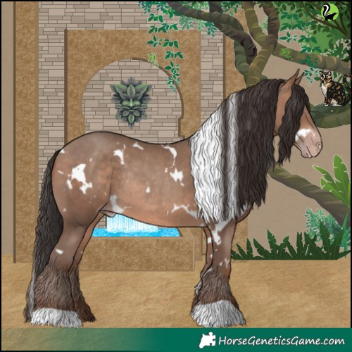 Horse Color:White Spotted Sable Champagne Rabicano 