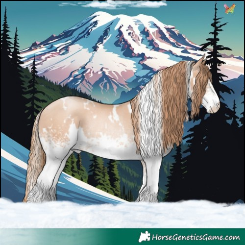 Horse Color:White Spotted Gold Champagne Pearl Rabicano 