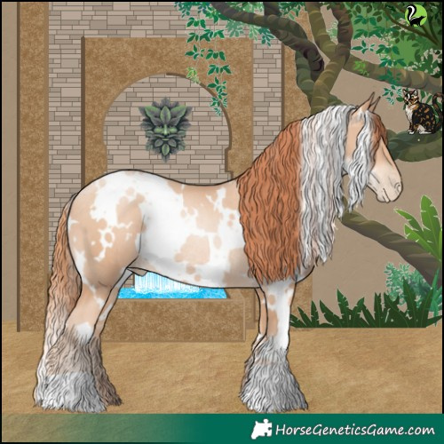 Horse Color:White Spotted Sable Champagne Pearl Rabicano 