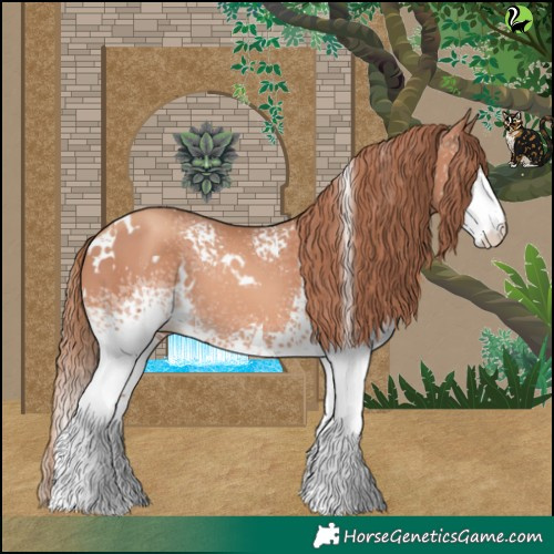Horse Color:White Spotted Gold Champagne 