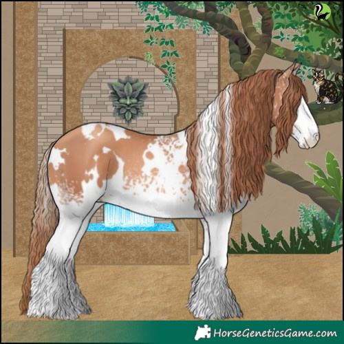 Horse Color:White Spotted Gold Champagne 