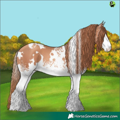 Horse Color:White Spotted Gold Champagne 