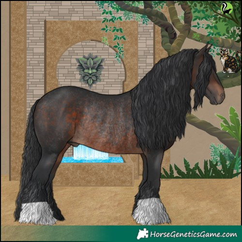 Horse Color:Brown Rabicano 