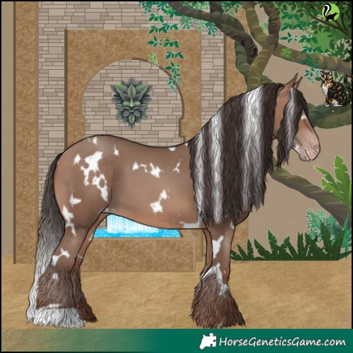 Horse Color:White Spotted Sable Champagne 