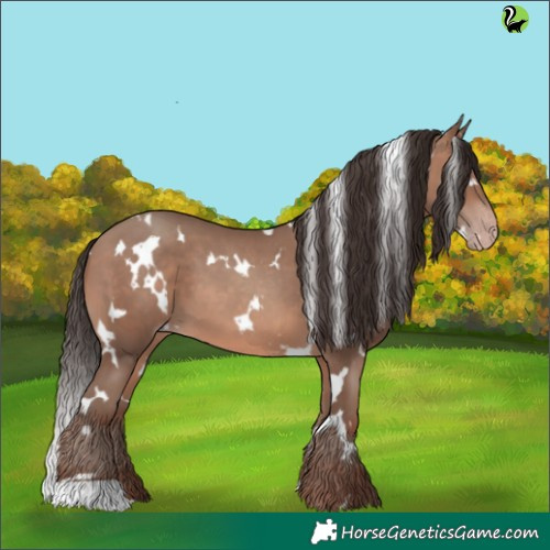Horse Color:White Spotted Sable Champagne 