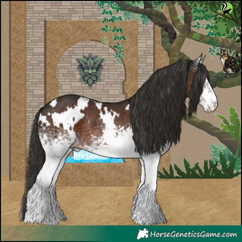 Horse Color:White Spotted Liver Chestnut Rabicano 
