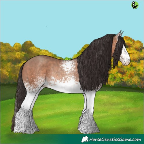 Horse Color:White Spotted Sable Champagne Rabicano 