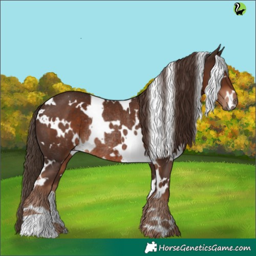 Horse Color:White Spotted Liver Chestnut Rabicano 