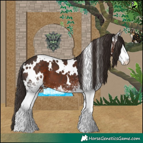 Horse Color:White Spotted Liver Chestnut 