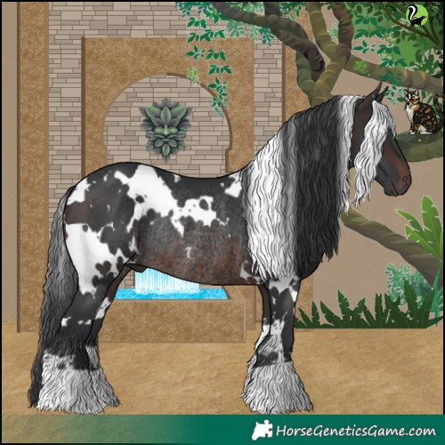 Horse Color:White Spotted Brown Rabicano 