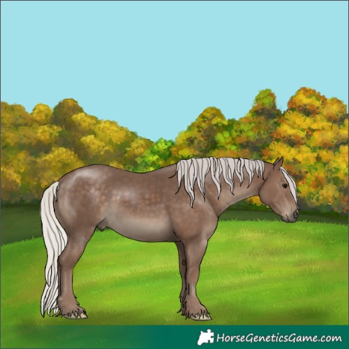 Horse Color:Silver Black 
