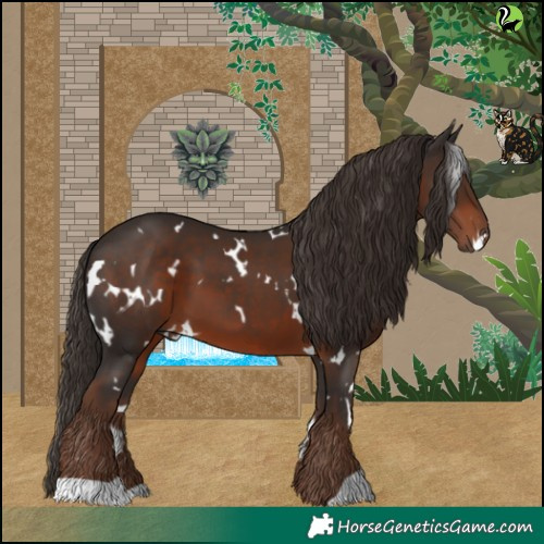Horse Color:White Spotted Liver Chestnut 