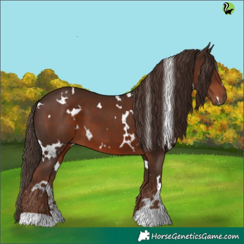 Horse Color:White Spotted Liver Chestnut 