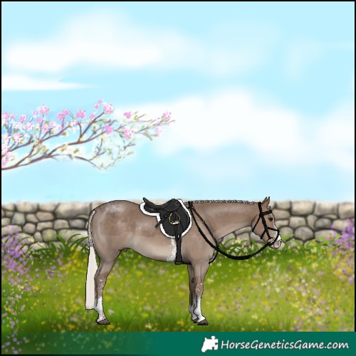 Horse Color:Silver Black Sabino