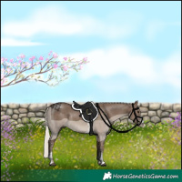 Horse Color:Silver Black Sabino 