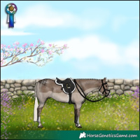 Horse Color:Silver Black Sabino 