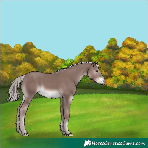 Horse Color:Platinum Chestnut