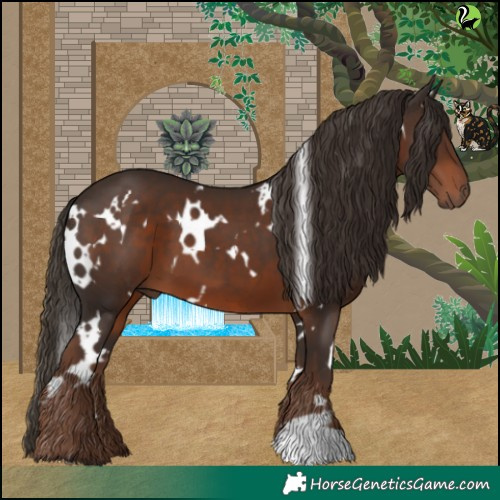 Horse Color:White Spotted Liver Chestnut 