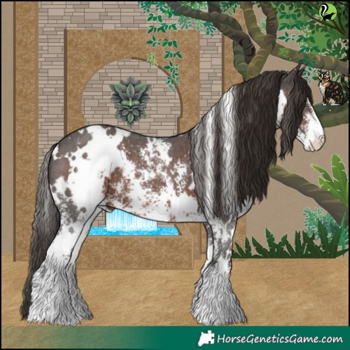 Horse Color:White Spotted Liver Chestnut Sabino 