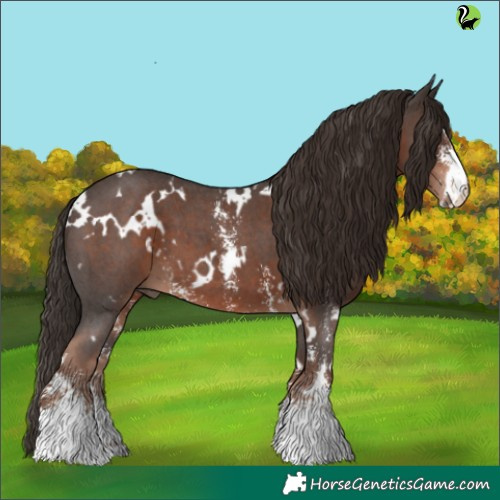 Horse Color:White Spotted Liver Chestnut Sabino 