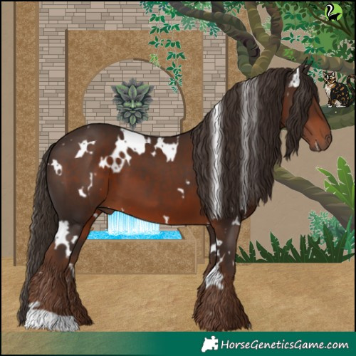 Horse Color:White Spotted Liver Chestnut 