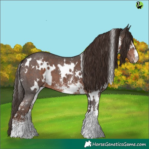 Horse Color:White Spotted Liver Chestnut Sabino