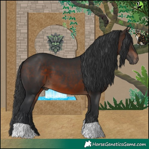Horse Color:Brown 
