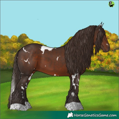 Horse Color:White Spotted Liver Chestnut
