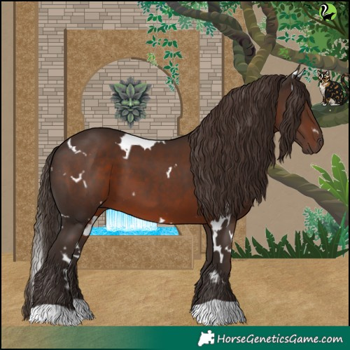 Horse Color:White Spotted Liver Chestnut 
