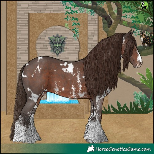 Horse Color:White Spotted Liver Chestnut Sabino 