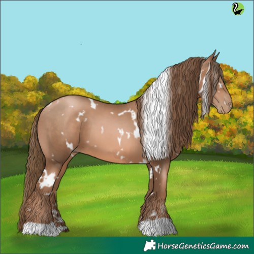 Horse Color:White Spotted Liver Chestnut Pearl