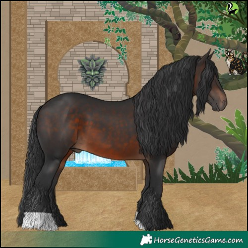 Horse Color:Brown 