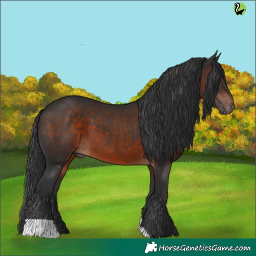 Horse Color:Brown 