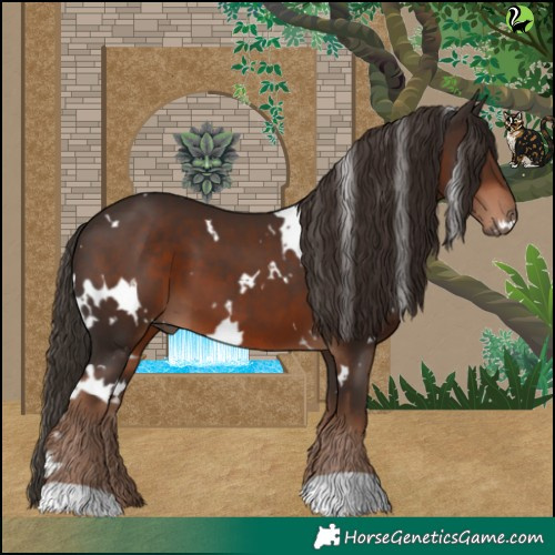 Horse Color:White Spotted Liver Chestnut 