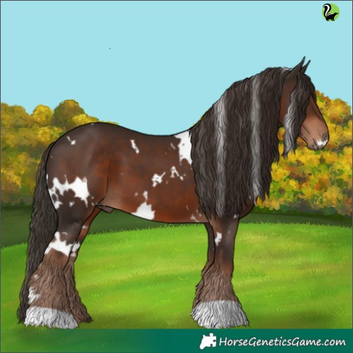 Horse Color:White Spotted Liver Chestnut 