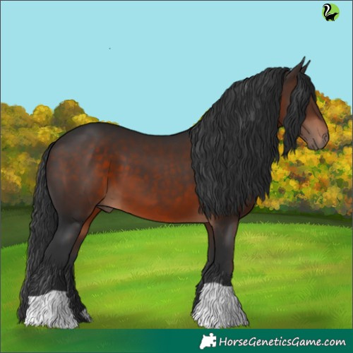 Horse Color:Brown 