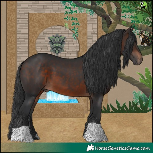 Horse Color:Brown 