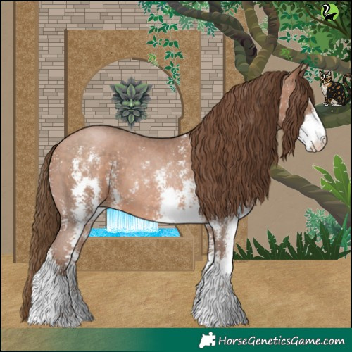 Horse Color:Brown Pearl Sabino 